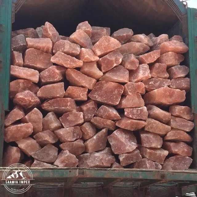 Container truck loaded for worldwide salt export
